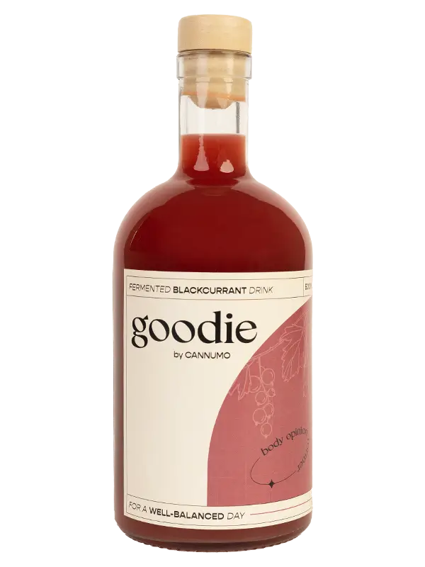 GOODIE – Fermented Blackcurrant Drink