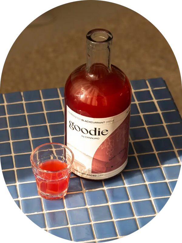 GOODIE – Fermented Blackcurrant Drink