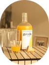 GOODIE – Fermented Sea Buckthorn Drink