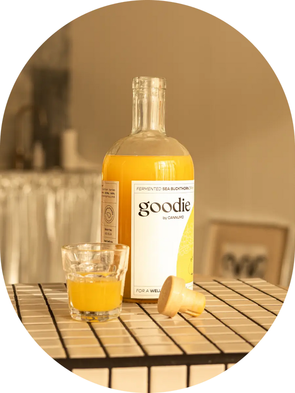 GOODIE – Fermented Sea Buckthorn Drink