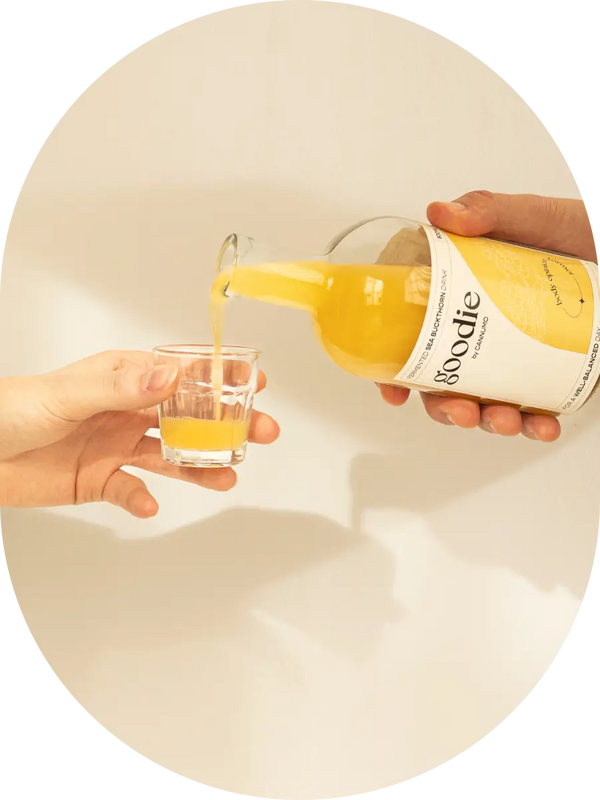 GOODIE – Fermented Sea Buckthorn Drink