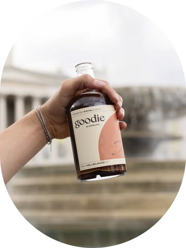 GOODIE – Fermented Rye Malt Drink