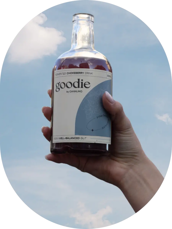 GOODIE – Fermented Chokeberry Drink