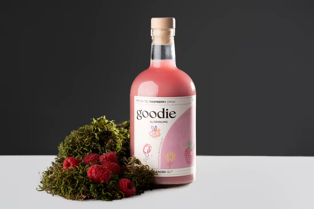 Goodie raspberry fermented drink bottle with raspberries and moss